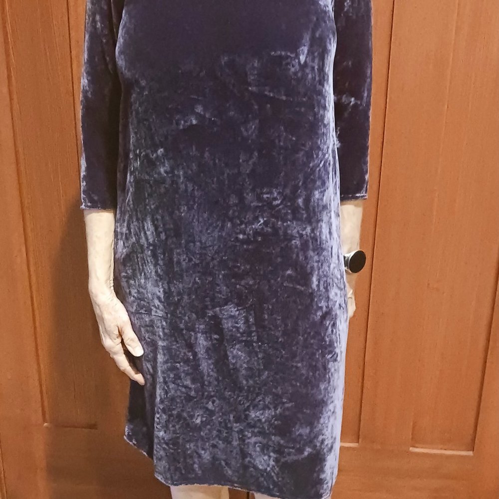 Velvet by Graham and Spencer velvet dress
